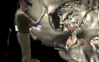 Using virtual reality to examine a 3D scan of a skull